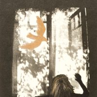 Karin Petri Wennström - Guldfågel