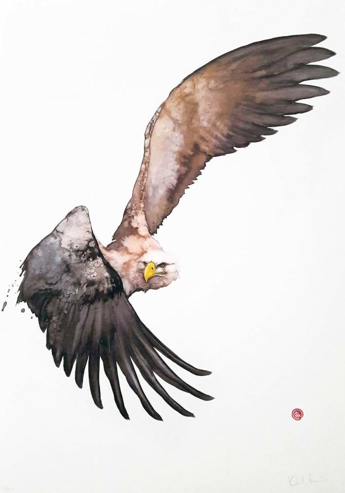 Karl Mårtens - Havsörn
