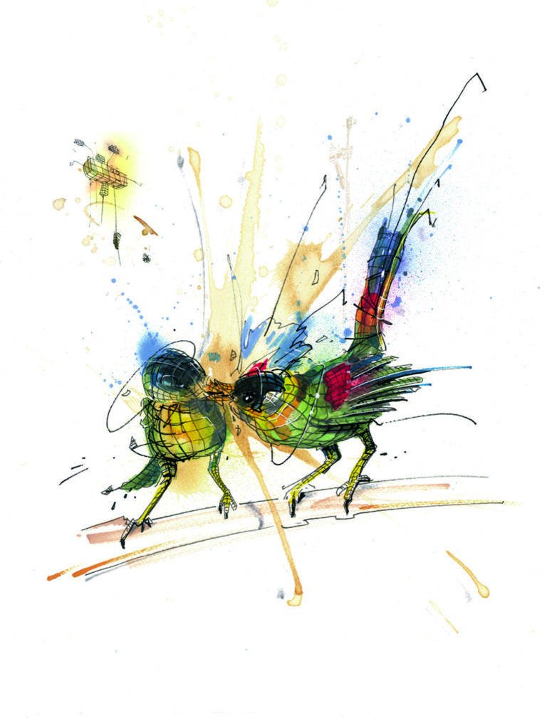 Puppet - Brazil birds