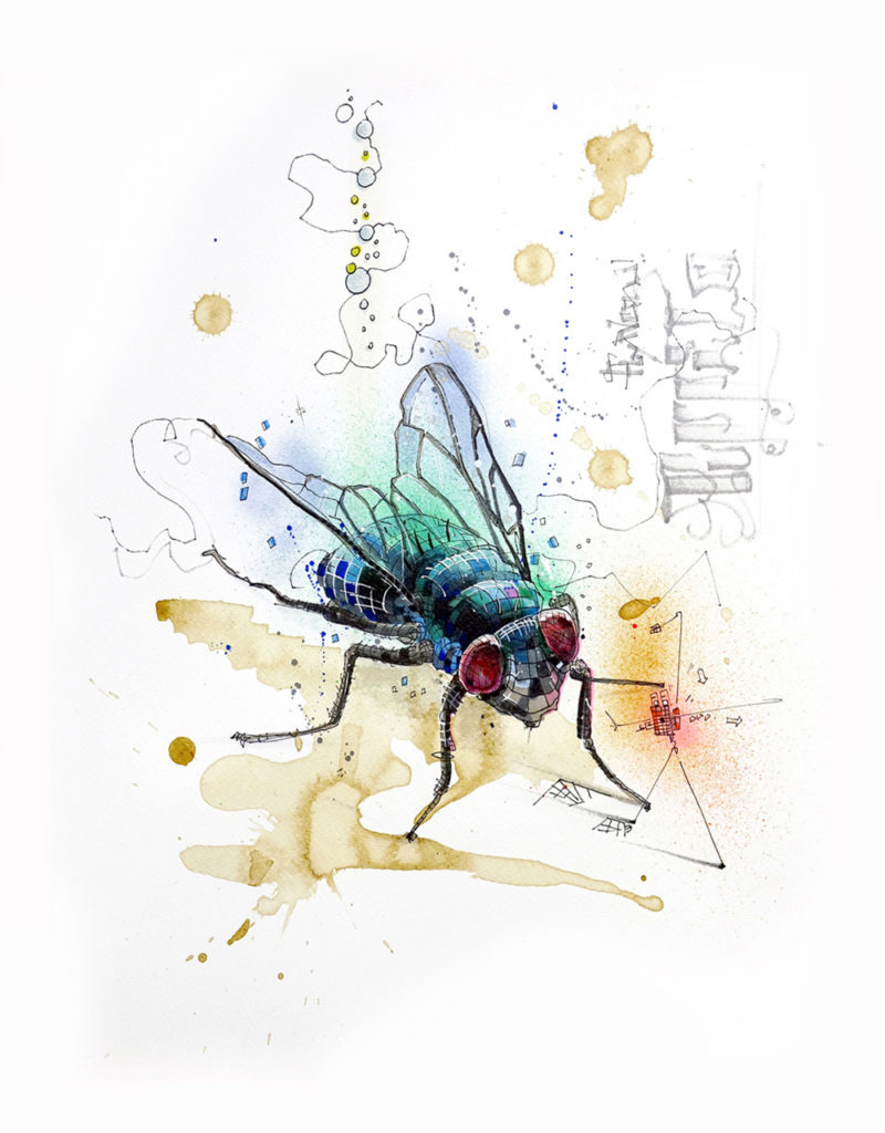 Puppet, Daniel Blomqvist Konstochfolk