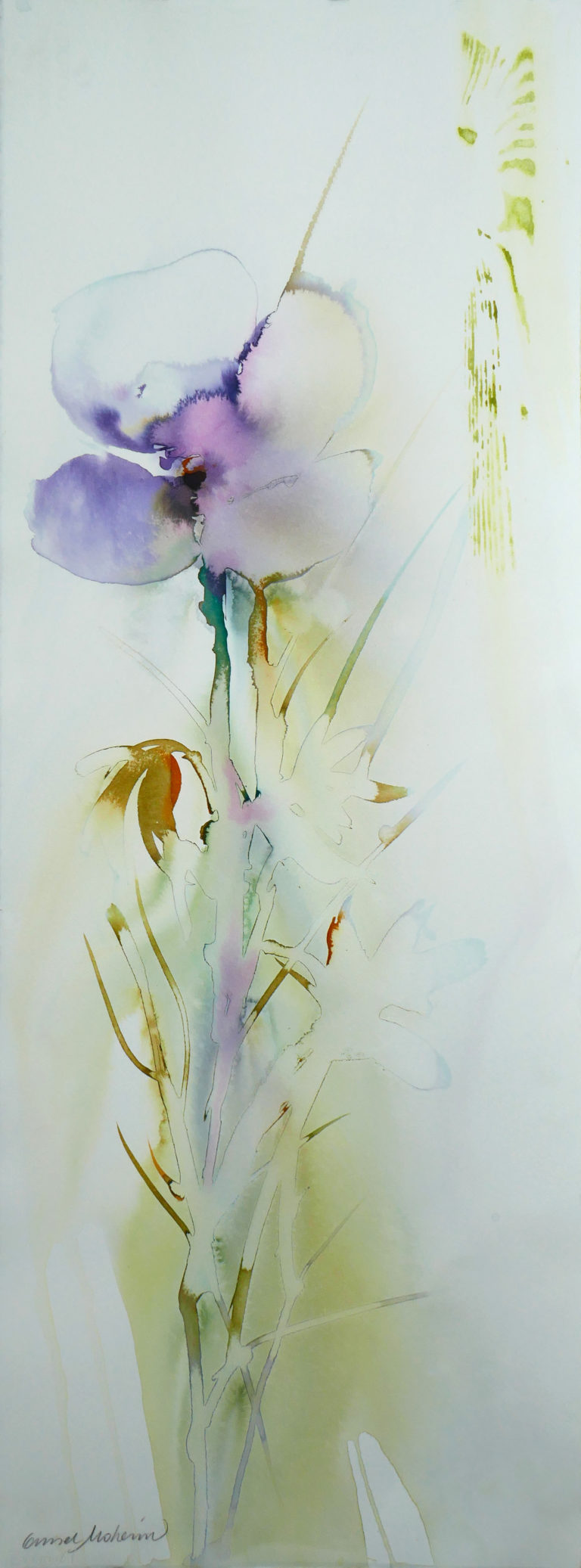 Gunnel Moheim - Anemone