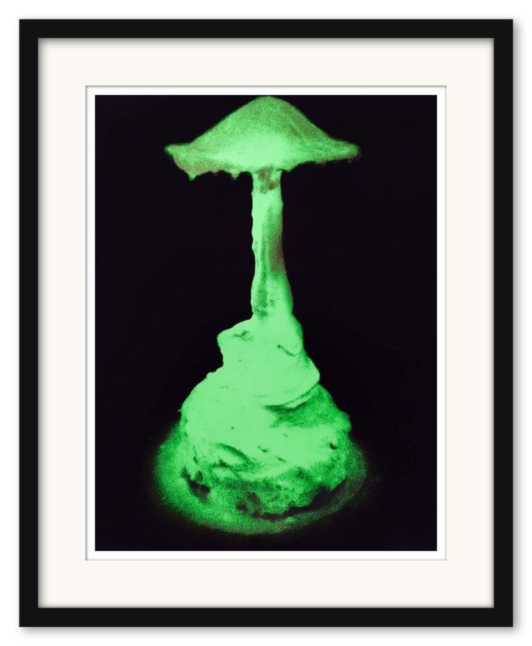 Joakim Allgulander - Magic Mushroom - Bild 3