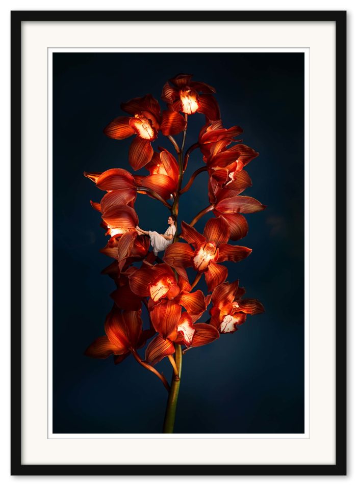 Sonja Hesslow - Lights by night III - SLUTSÅLD - Bild 3