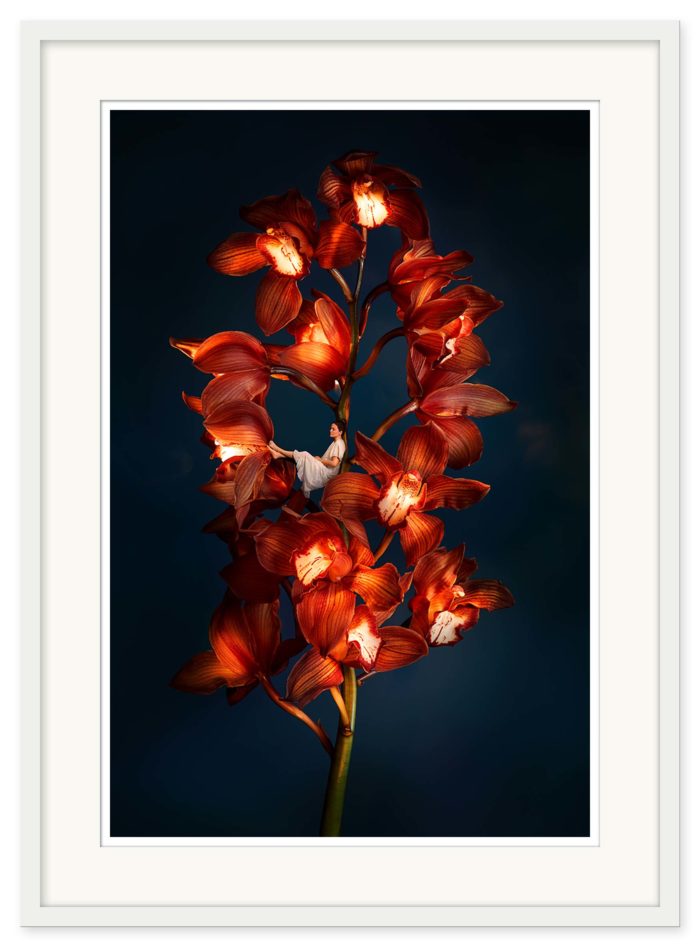 Sonja Hesslow - Lights by night III - SLUTSÅLD - Bild 2