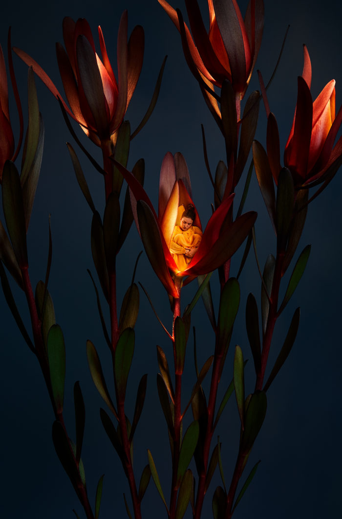 Sonja Hesslow - Lights by night II