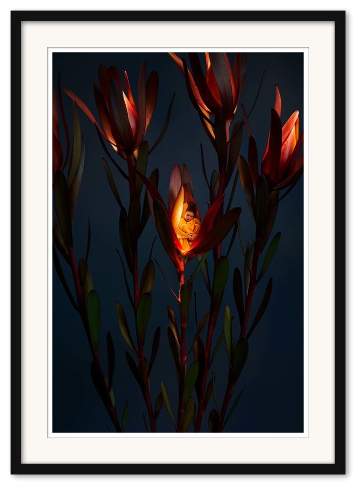 Sonja Hesslow - Lights by night II - Bild 3