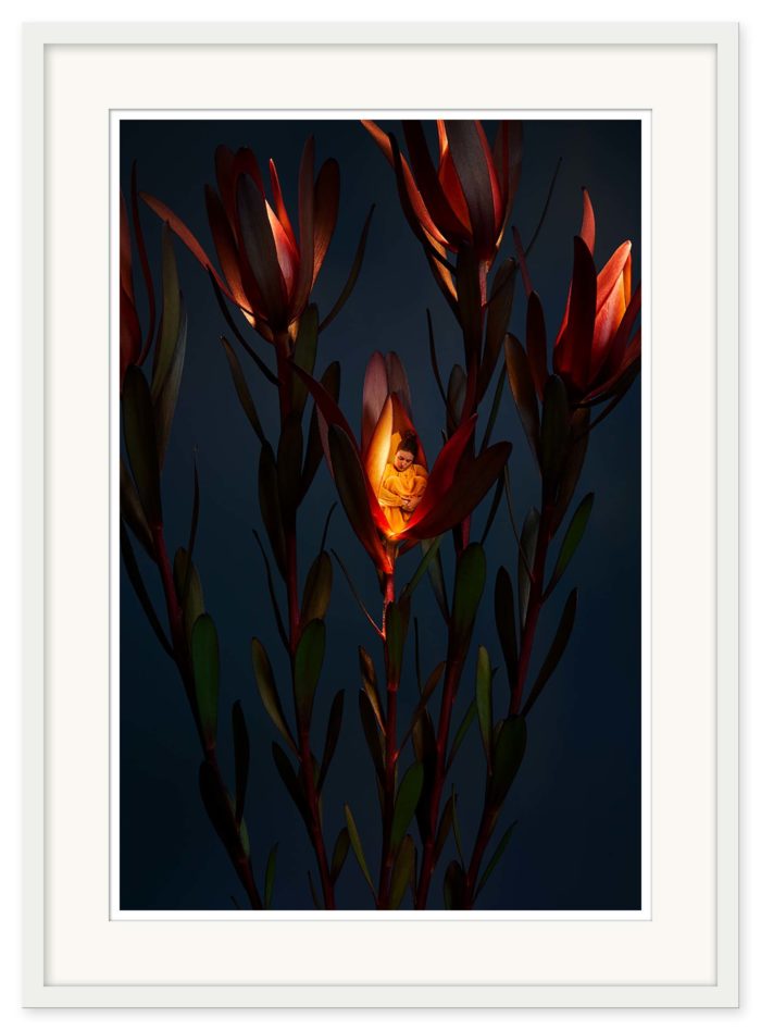 Sonja Hesslow - Lights by night II - Bild 2