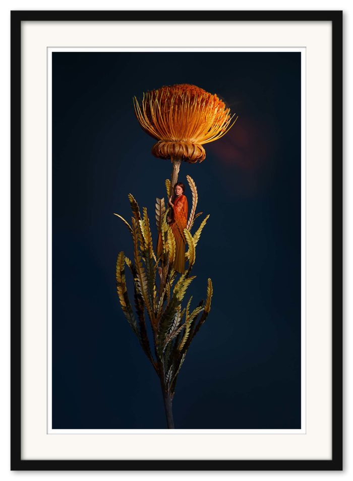 Sonja Hesslow - Lights by night - Bild 3