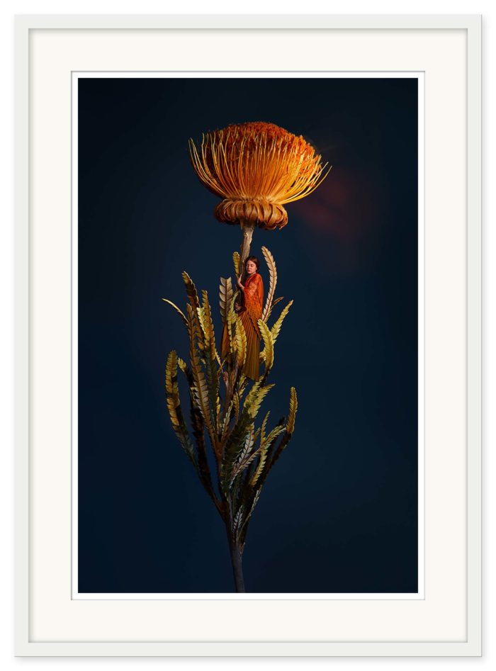 Sonja Hesslow - Lights by night - Bild 2