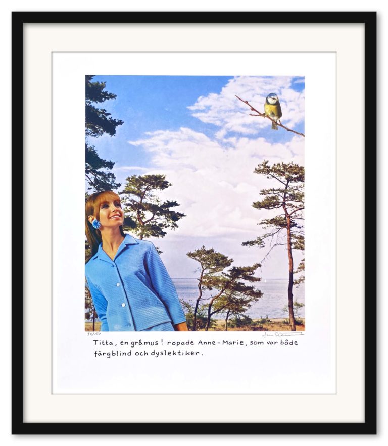 Jan Stenmark - Titta en gråmus! - Bild 3