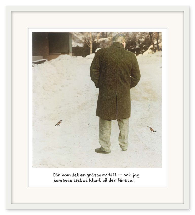 Jan Stenmark - Gråsparvarna - Bild 2