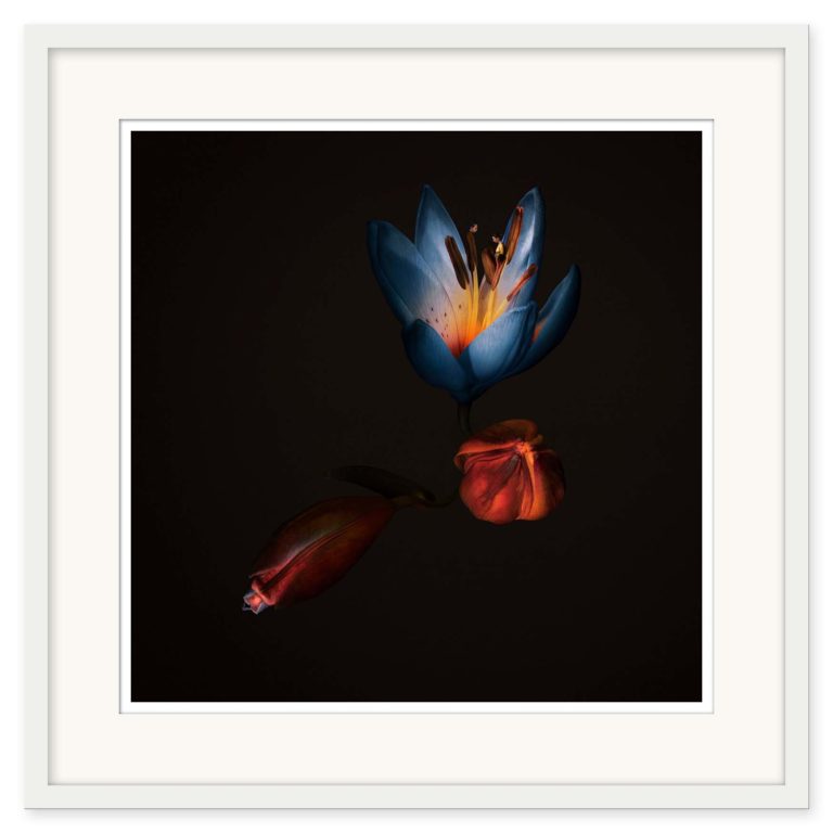Sonja Hesslow - Equilibrium - Bild 2