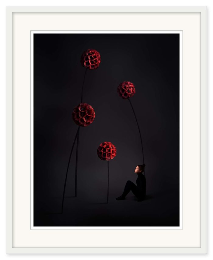 Sonja Hesslow - Ignore me - Bild 3