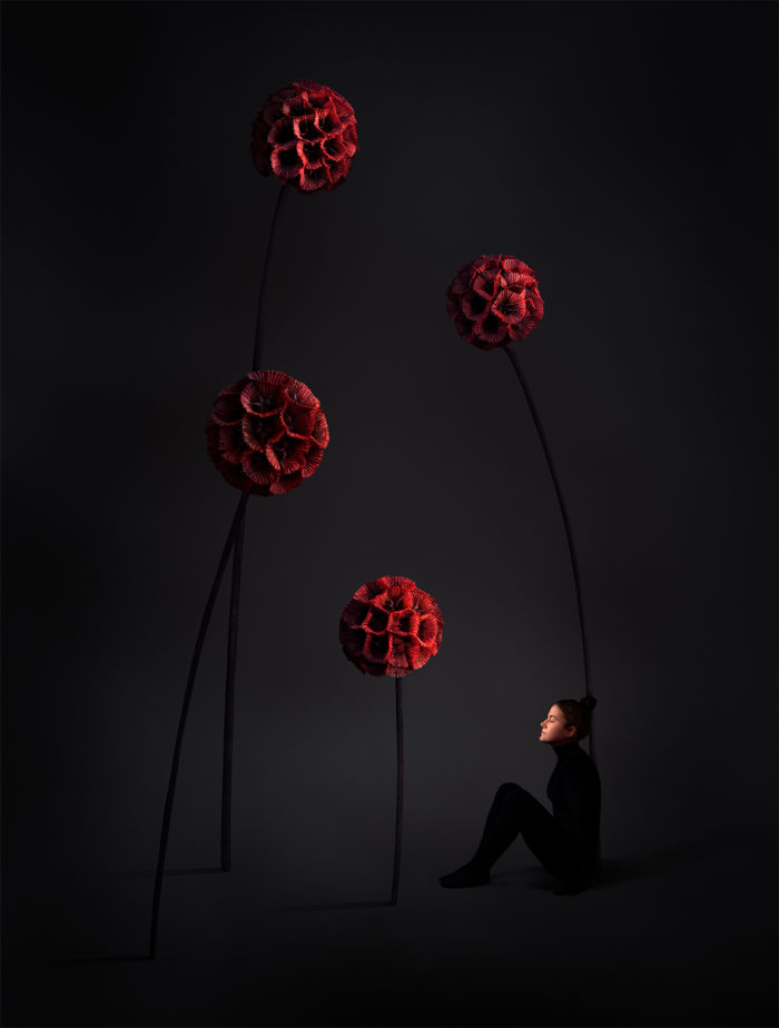 Sonja Hesslow - Ignore me