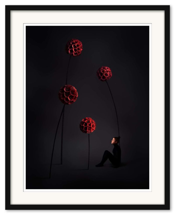 Sonja Hesslow - Ignore me - Bild 2