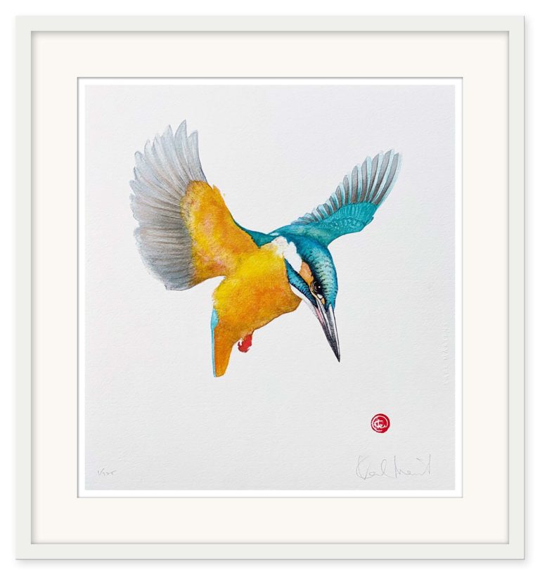 Karl Mårtens - Kungsfiskare - Bild 3