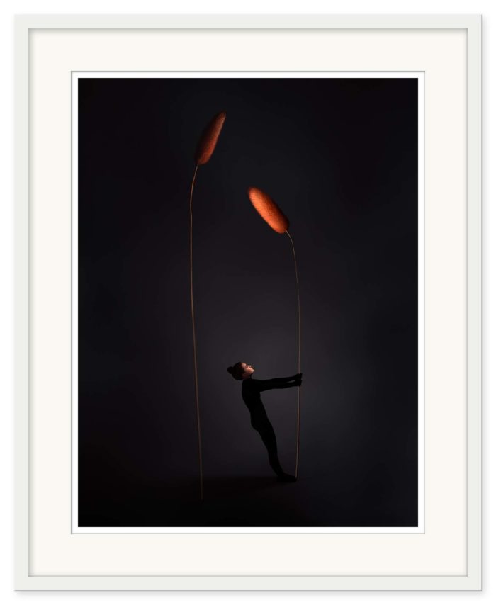 Sonja Hesslow - See me - Bild 2