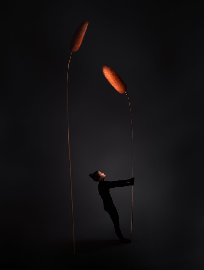 Sonja Hesslow - See me