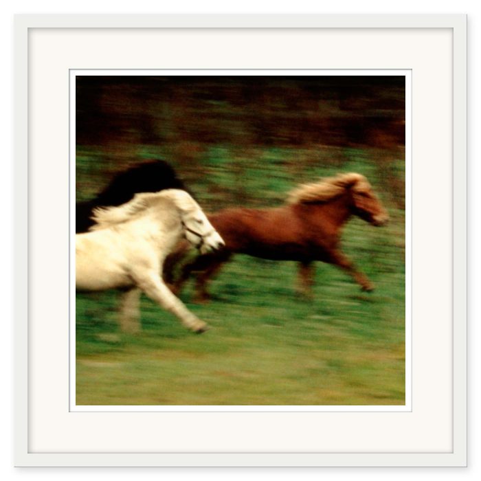Mikael Bertmar - Dreamvision/The Horses - Bild 2