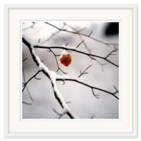 Mikael Bertmar - Dreamvision/The Leaf - Bild 2
