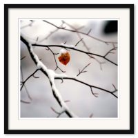 Mikael Bertmar - Dreamvision/The Leaf - Bild 3