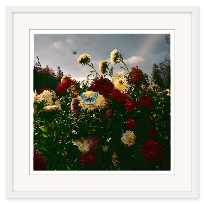Mikael Bertmar - Naturalis/The Garden - Bild 2