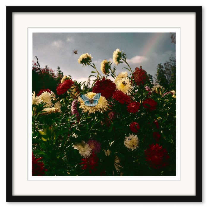 Mikael Bertmar - Naturalis/The Garden - Bild 3