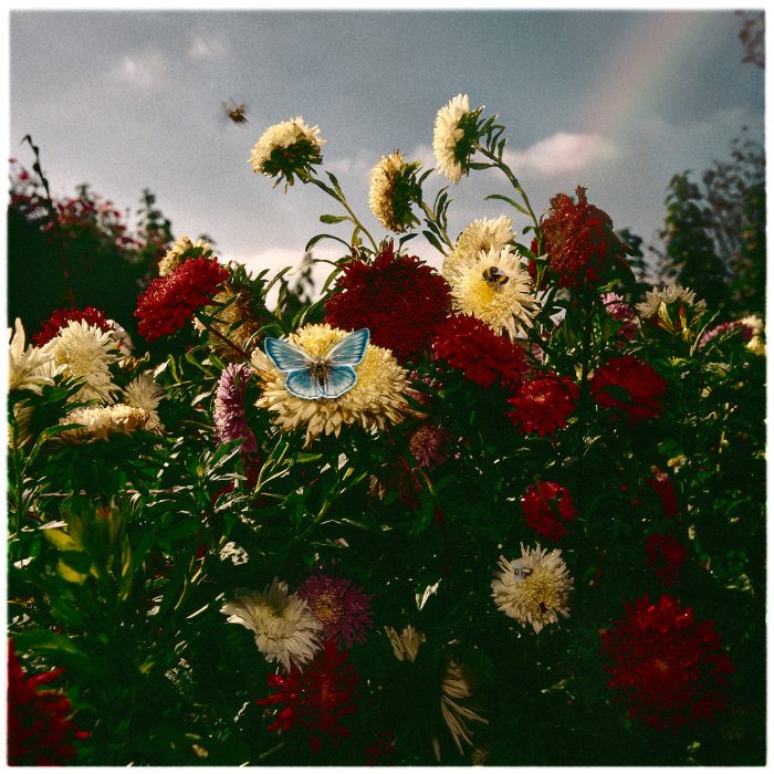 Mikael Bertmar - Naturalis/The Garden