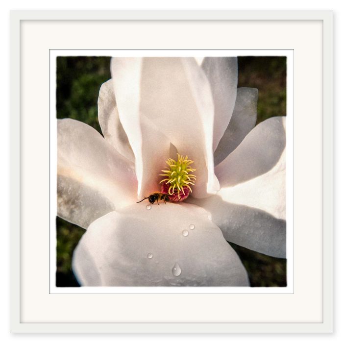 Mikael Bertmar - Naturalis/The Flower - Bild 2