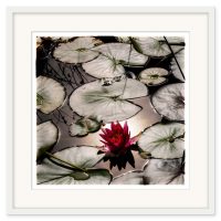 Mikael Bertmar - Naturalis/The Pond - Bild 2