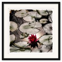 Mikael Bertmar - Naturalis/The Pond - Bild 3