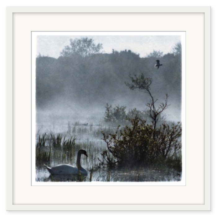 Mikael Bertmar - Oasis/Mirage 1 - Bild 2