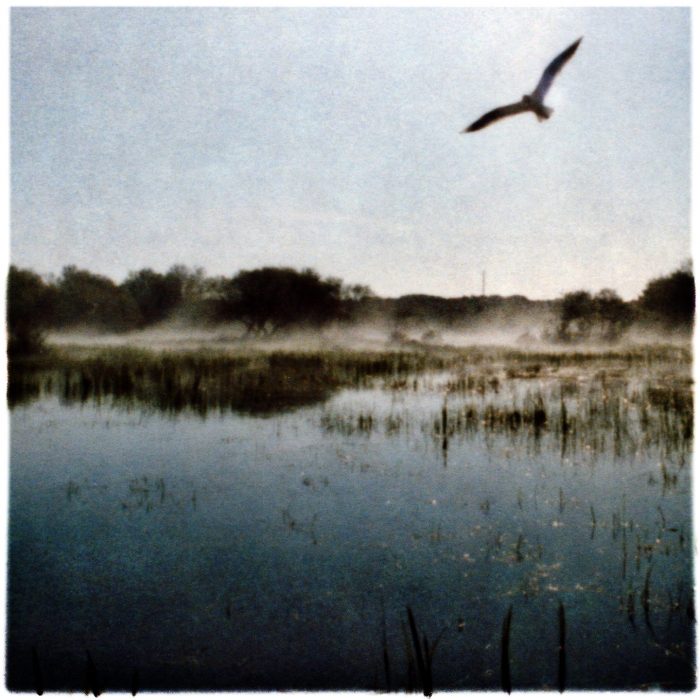 Mikael Bertmar - Oasis/Mirage 2