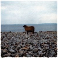 Mikael Bertmar - Oasis/Mirage 3