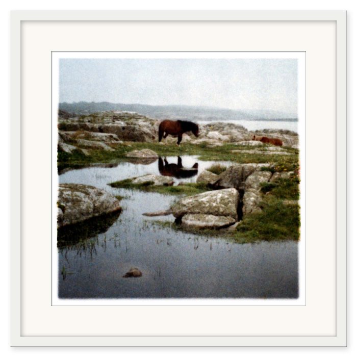 Mikael Bertmar - Oasis/Mirage 4 - Bild 2