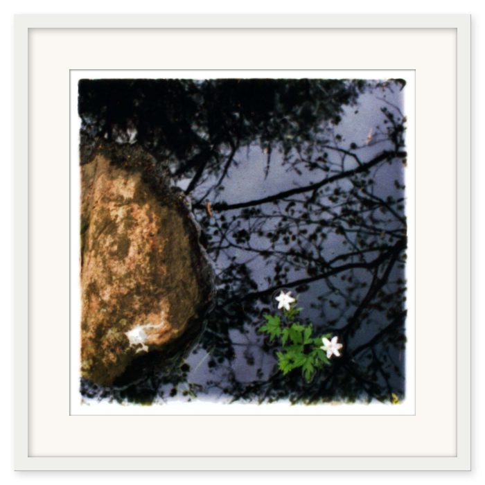Mikael Bertmar - Oasis/Mirage 6 - Bild 2