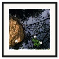 Mikael Bertmar - Oasis/Mirage 6 - Bild 3