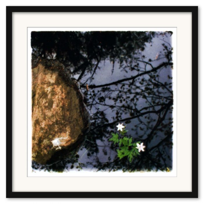 Mikael Bertmar - Oasis/Mirage 6 - Bild 3