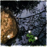 Mikael Bertmar - Oasis/Mirage 6