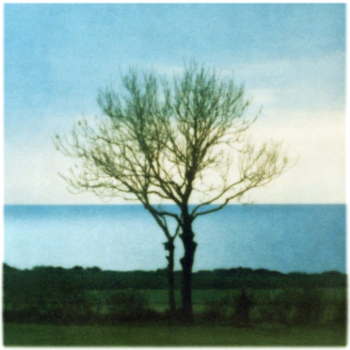 Mikael Bertmar - Oasis/Mirage 7