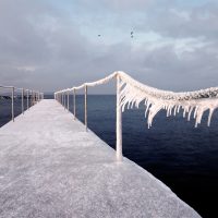 Mikael Bertmar - FRIGIA Brygga
