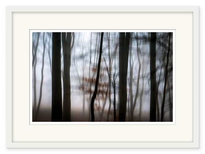 Mikael Bertmar - Fading Forest - Bild 2