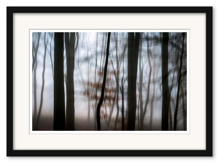 Mikael Bertmar - Fading Forest - Bild 3