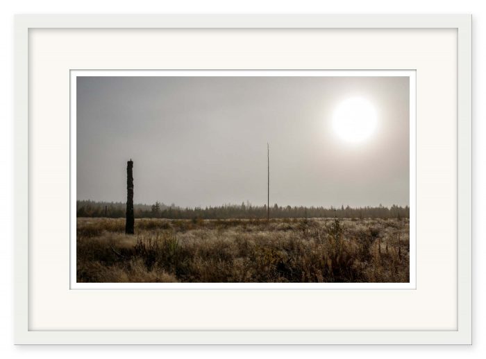 Mikael Bertmar - The Field of Ambient Light - Bild 2