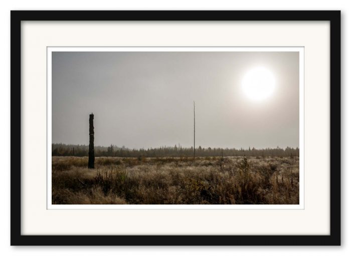Mikael Bertmar - The Field of Ambient Light - Bild 3
