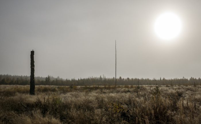 Mikael Bertmar - The Field of Ambient Light