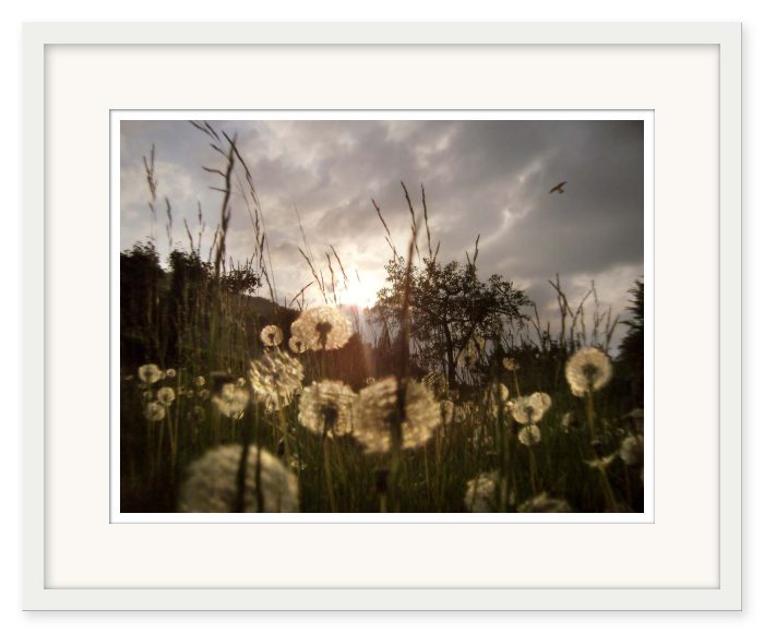 Mikael Bertmar - Waiting for Wind - Bild 2