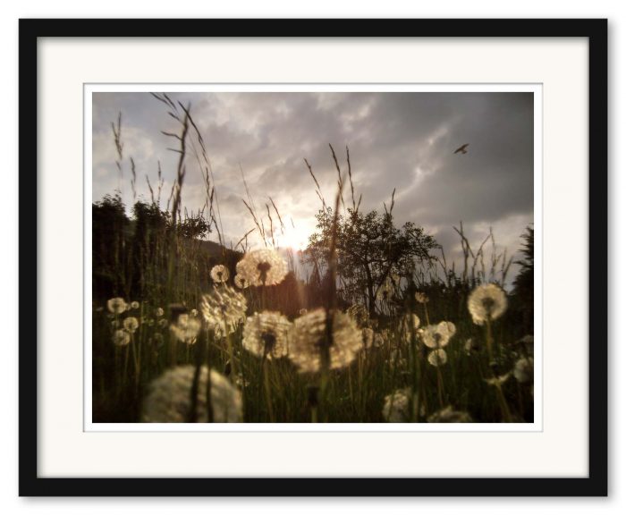 Mikael Bertmar - Waiting for Wind - Bild 3