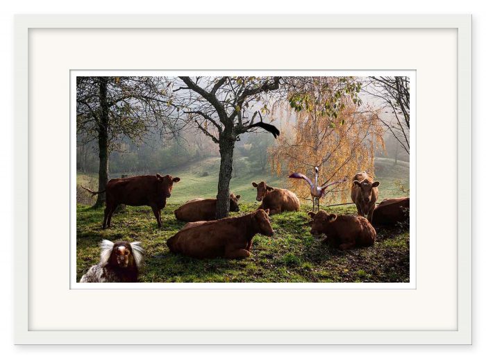 Mikael Bertmar - Penetralis Provincia 3 - Bild 2