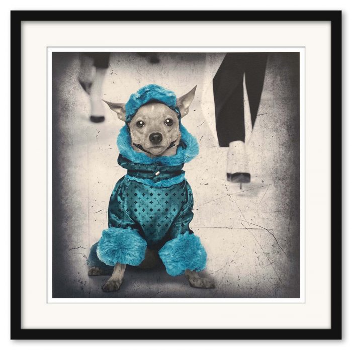 Lars Tunebo - Catwalk Blue - Bild 2